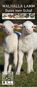 Walhalla-Lamm Gutes vom Schaf
