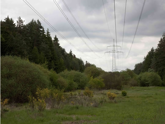 Leitungstrasse im Wald