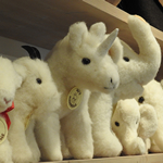 PopUp-Store Knigstrae von innen