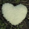Schafwoll-Herz mit Kirschkernen Zottel Schafwoll-Herz mit Kirschkernen Zottel