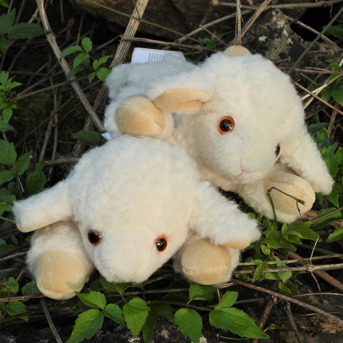 Schafwoll Kuscheltier mit Kirschkern Kissen Lamm Schafwoll Kuscheltier mit Kirschkern Kissen Lamm