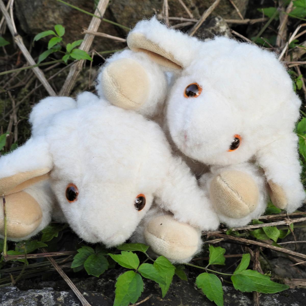 Schafwoll Kuscheltier mit Kirschkern Kissen Lamm Schafwoll Kuscheltier mit Kirschkern Kissen Lamm