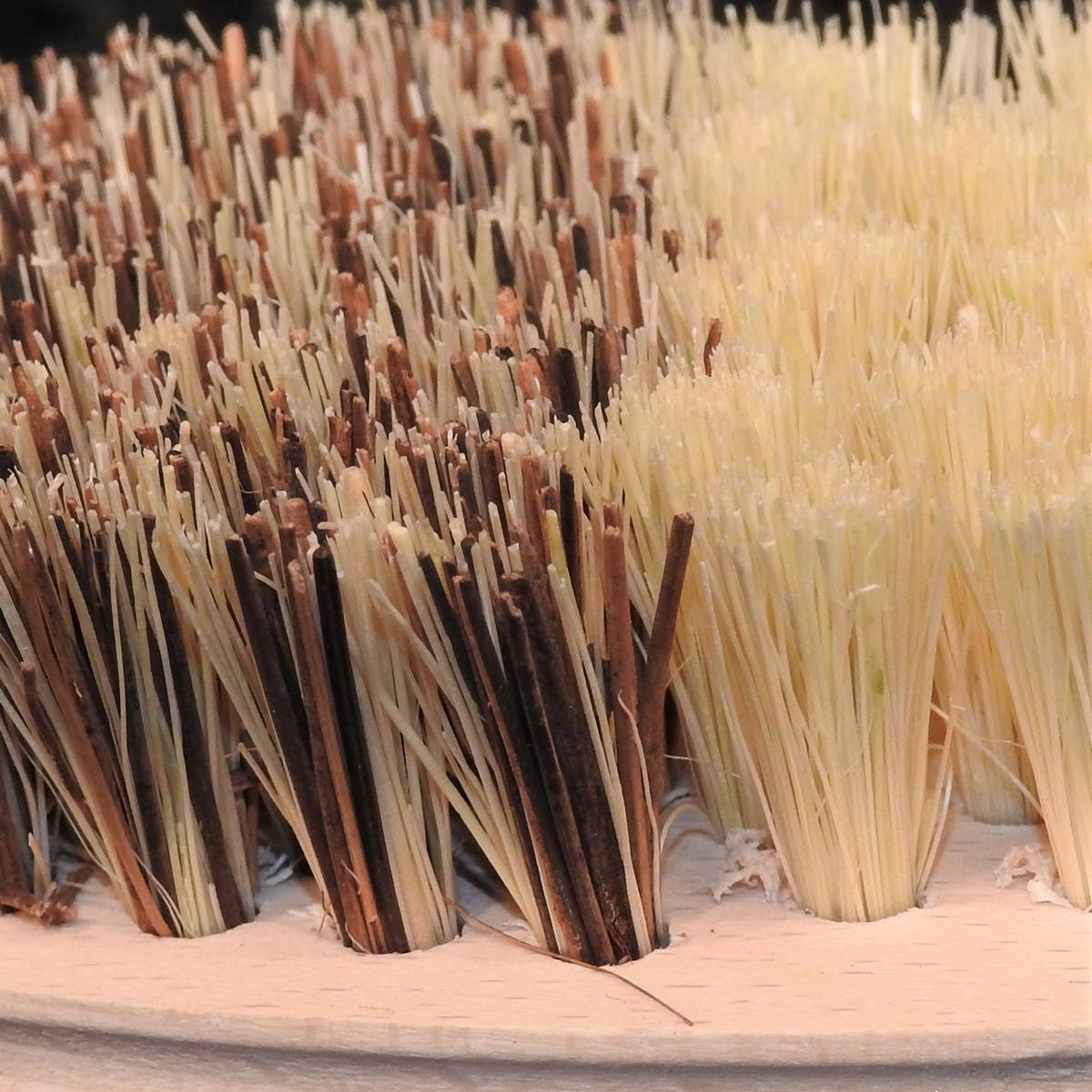 Gemüsebürste mit zwei Borstenarten