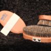 Massage-Bürste "Wellfit" Buchenholz mit Rosshaar und Fibre