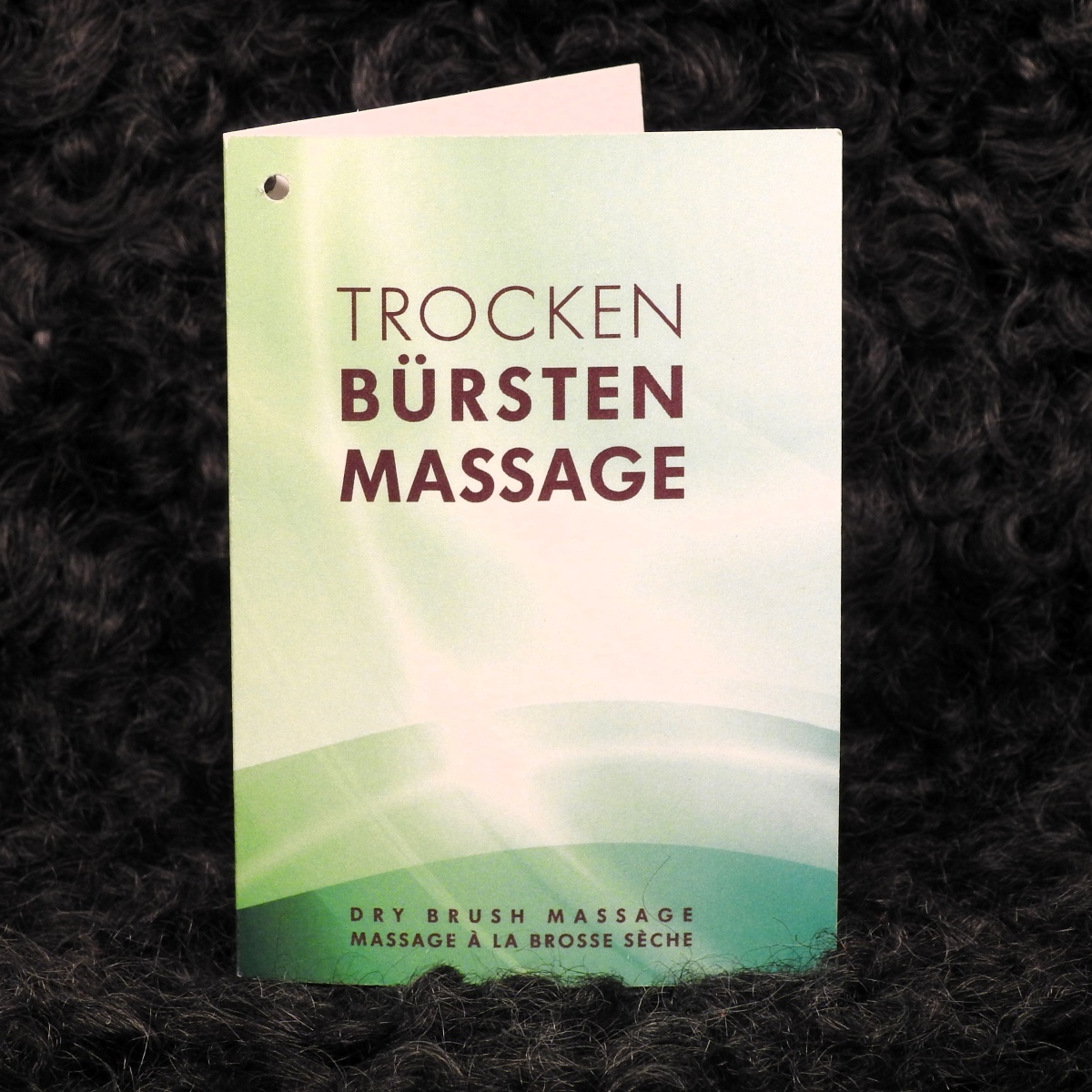 Massagebürste Trockenmassage Anleitung Massagebürste Trockenmassage Anleitung