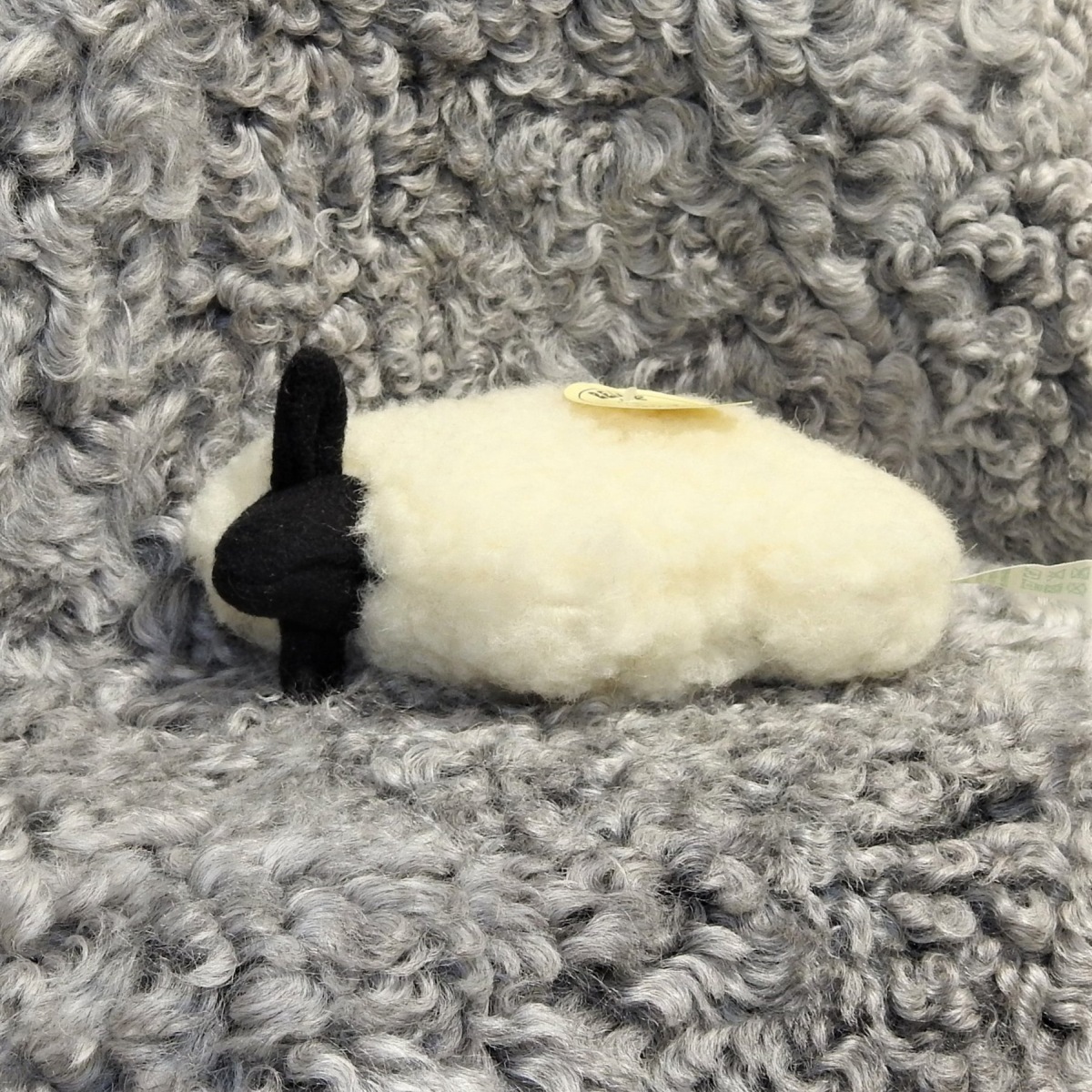 Schafwoll Flachtier Lamm Schafwoll Flachtier Lamm