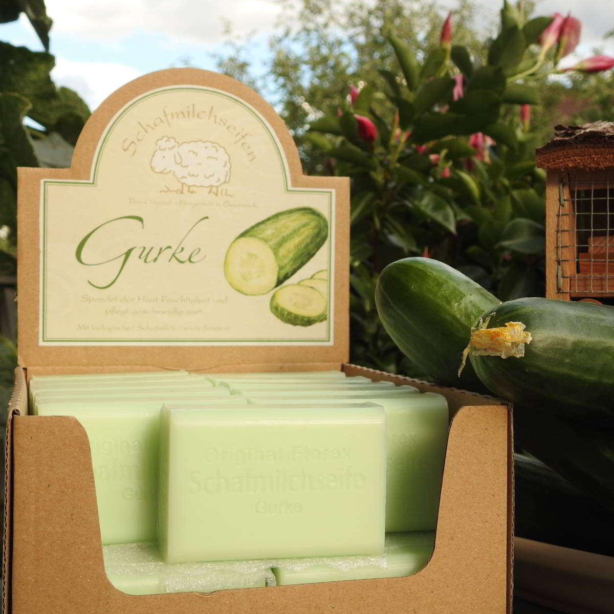 Schafmilchseife Gurke