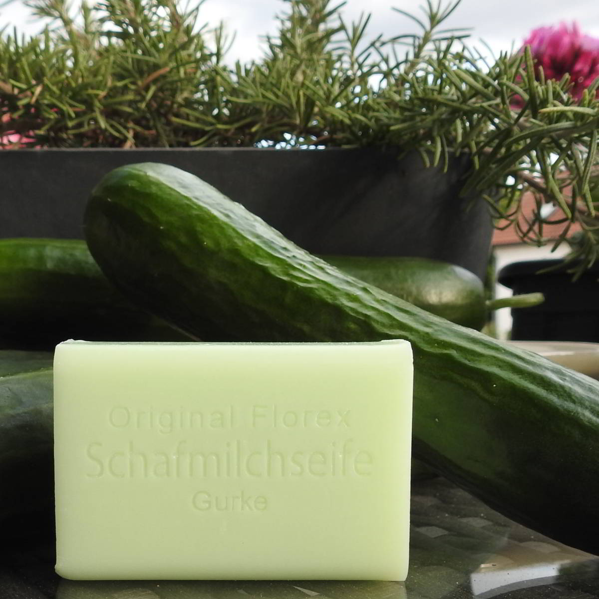 Schafmilchseife Gurke